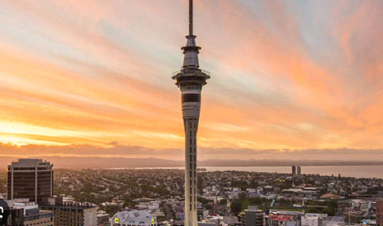 How to apply for Residence by Investment in NZ